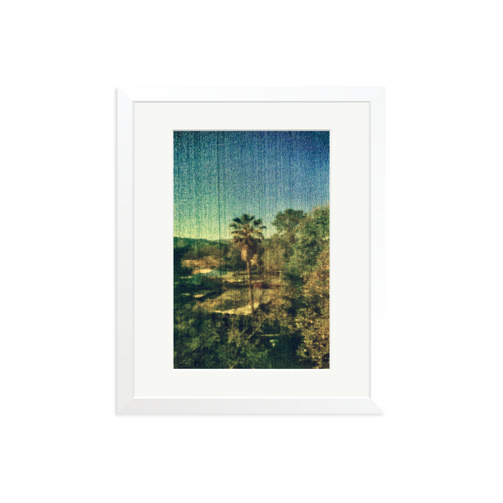 Spring Palm