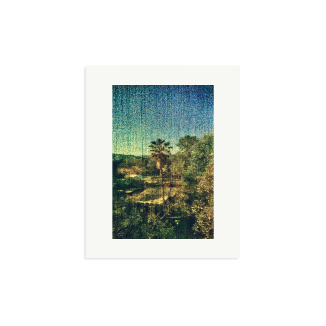 Spring Palm