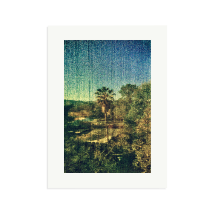 Spring Palm