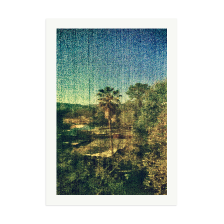 Spring Palm