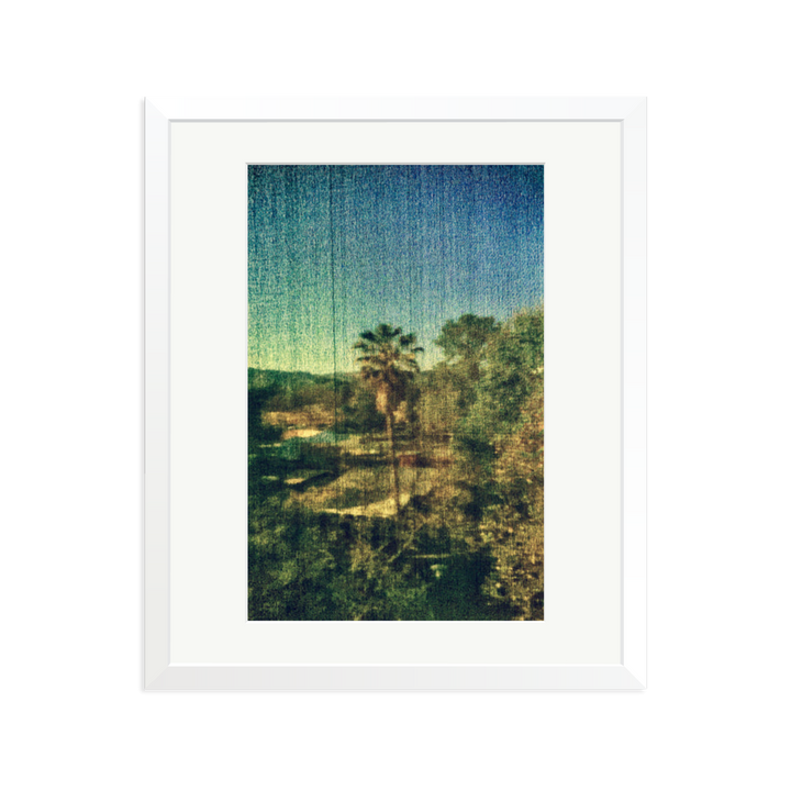 Spring Palm