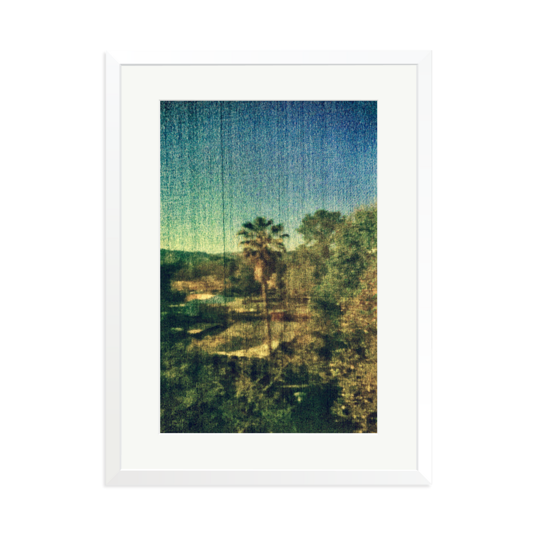 Spring Palm