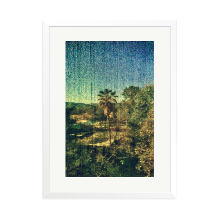 Spring Palm