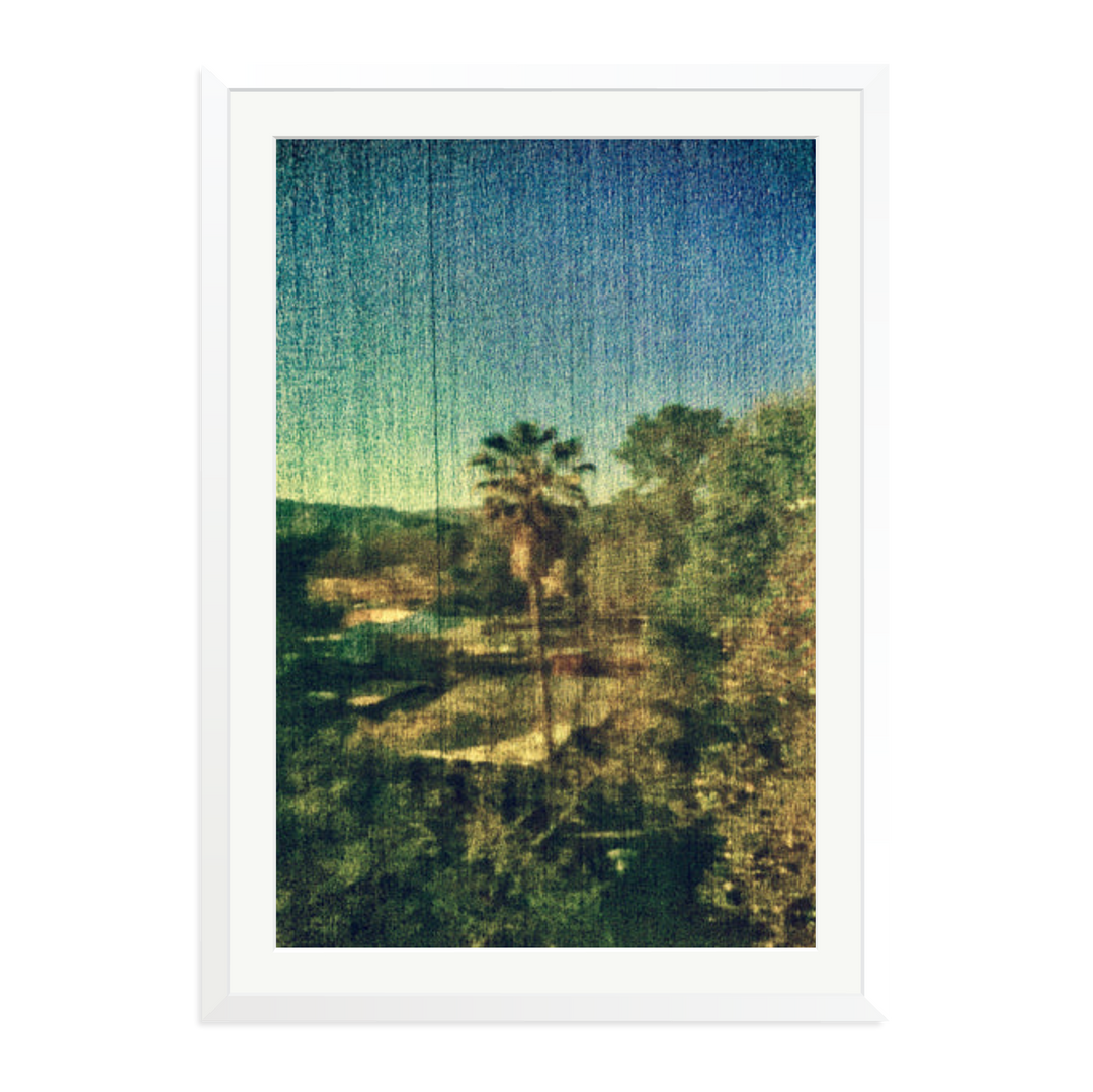 Spring Palm