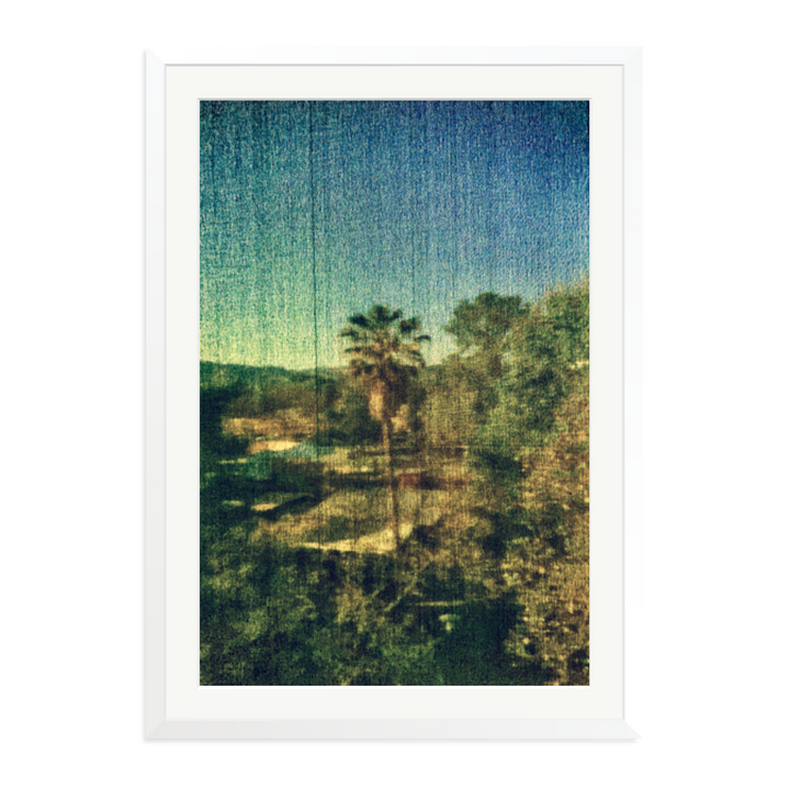 Spring Palm