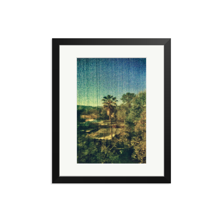 Spring Palm