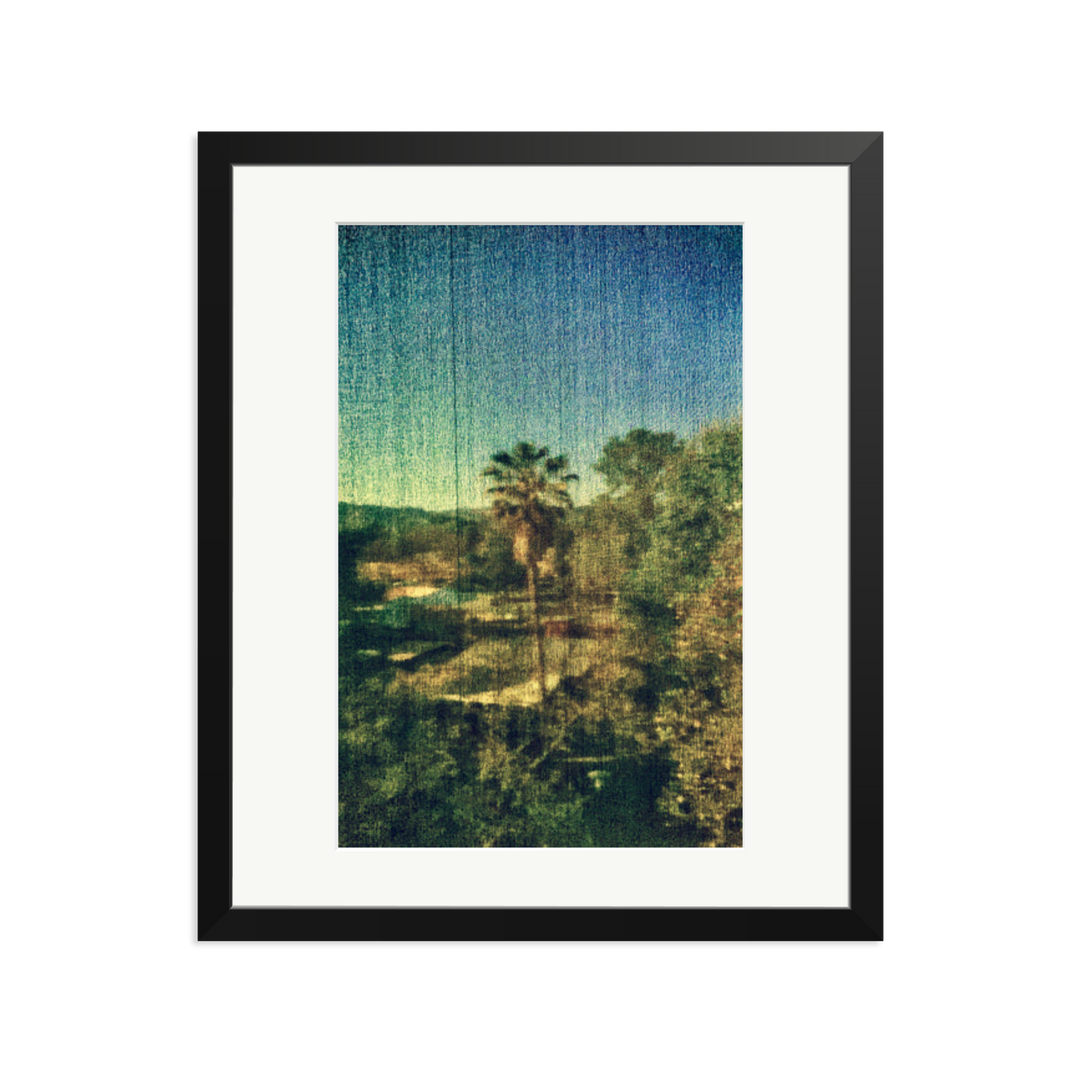 Spring Palm