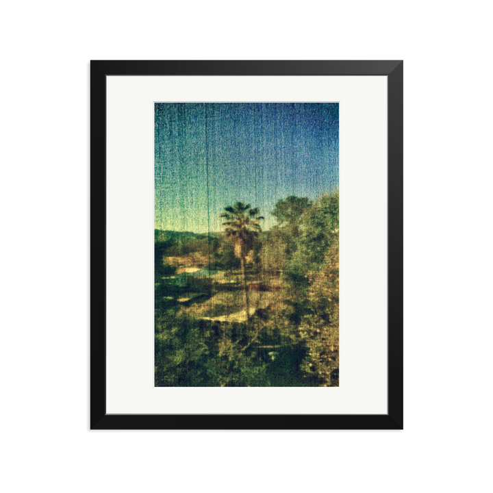 Spring Palm