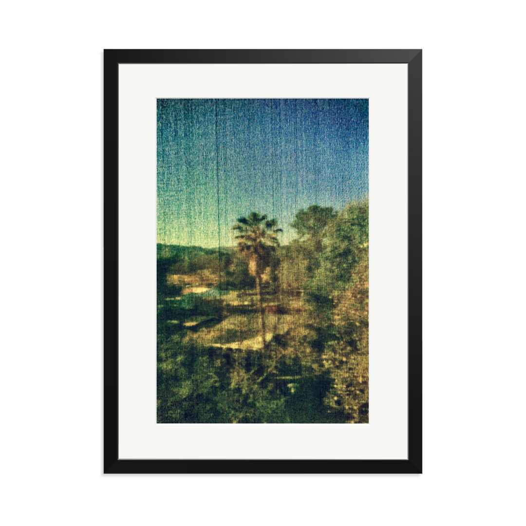 Spring Palm