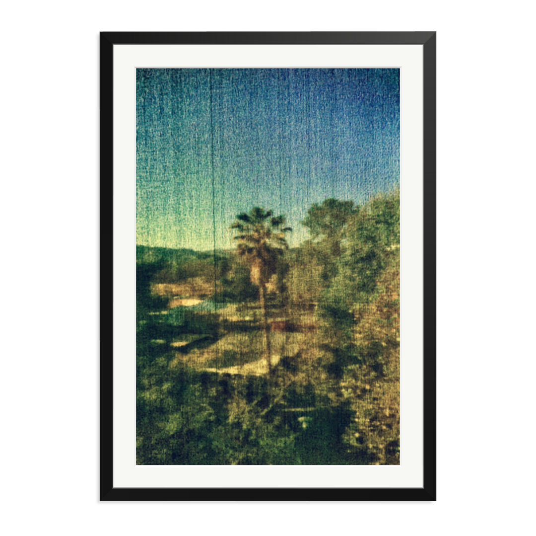 Spring Palm