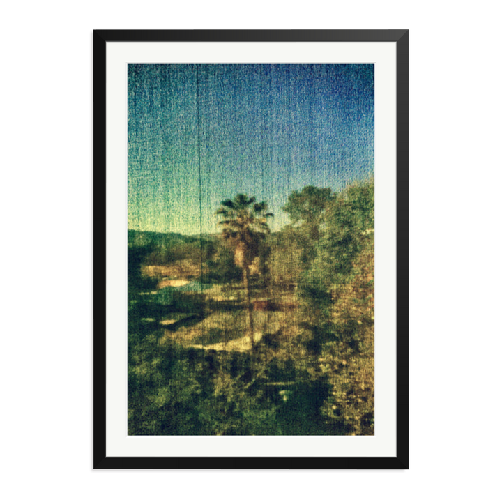 Spring Palm