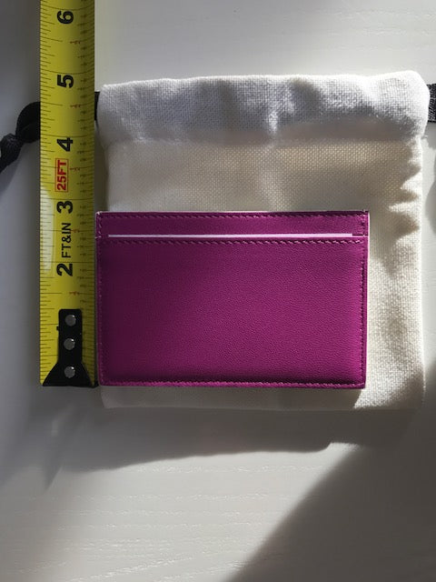 Hand Painted CELINE Card Case