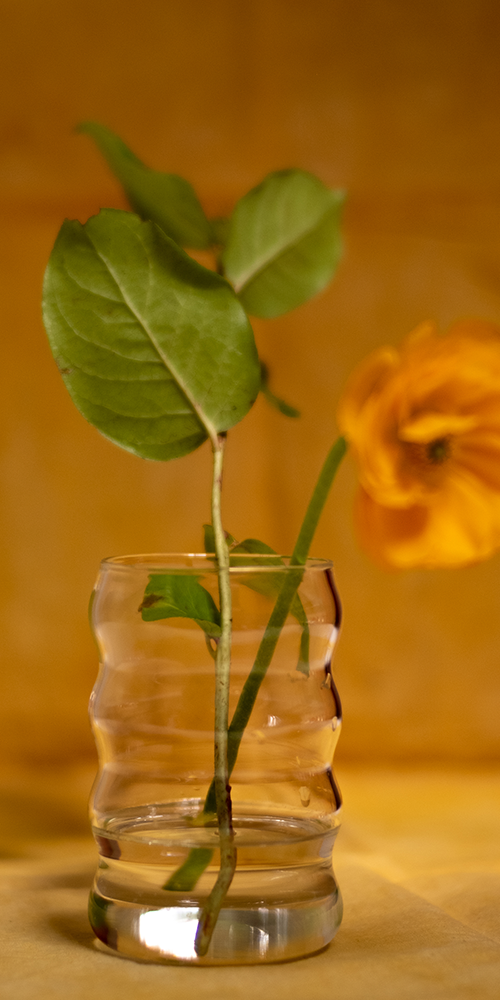 Jumbo Ripple Cup Clear
