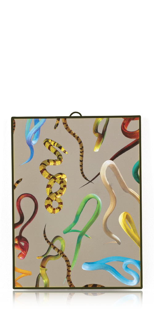 Snakes Mirror