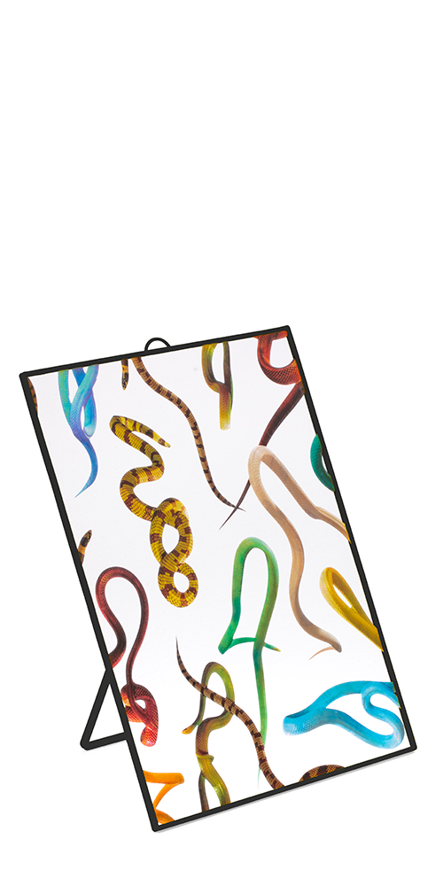Snakes Mirror