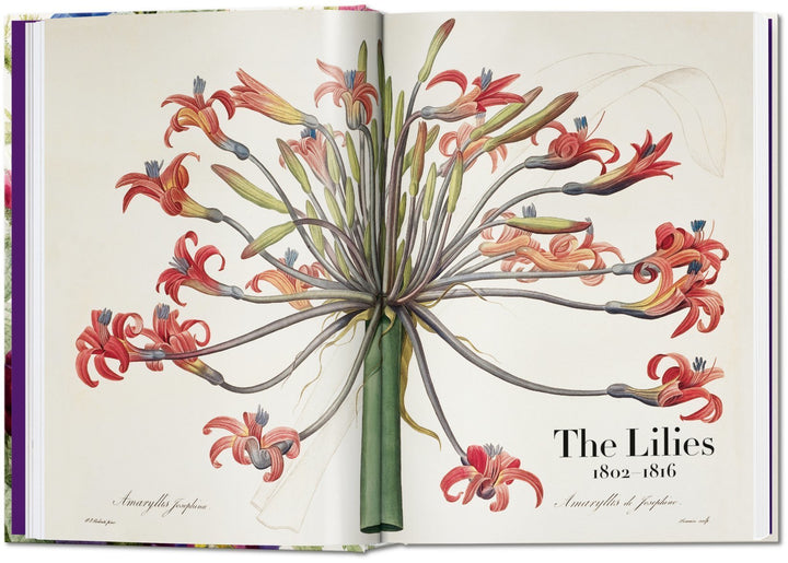 Redouté: Book of Flowers, 40th Anniversary Edition