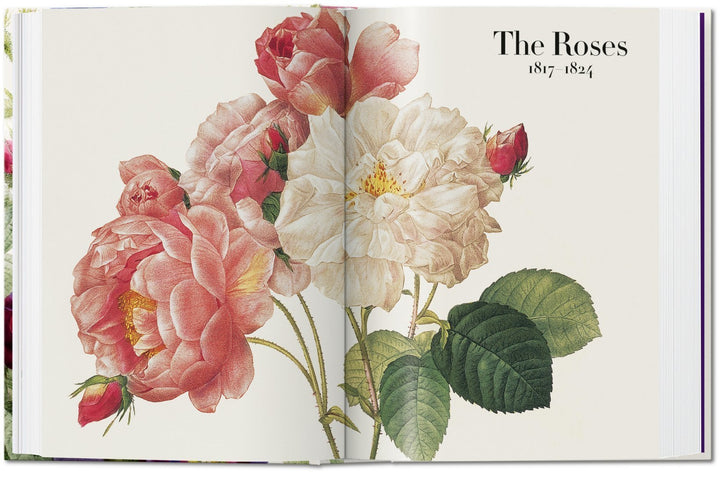 Redouté: Book of Flowers, 40th Anniversary Edition