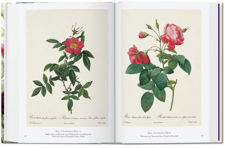 Redouté: Book of Flowers, 40th Anniversary Edition