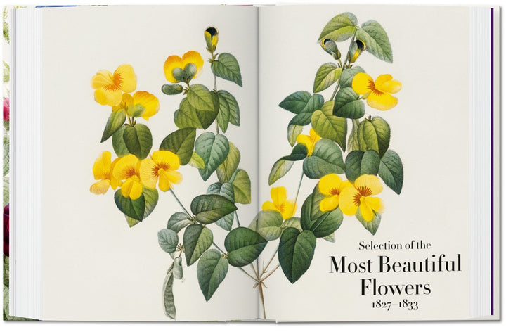 Redouté: Book of Flowers, 40th Anniversary Edition